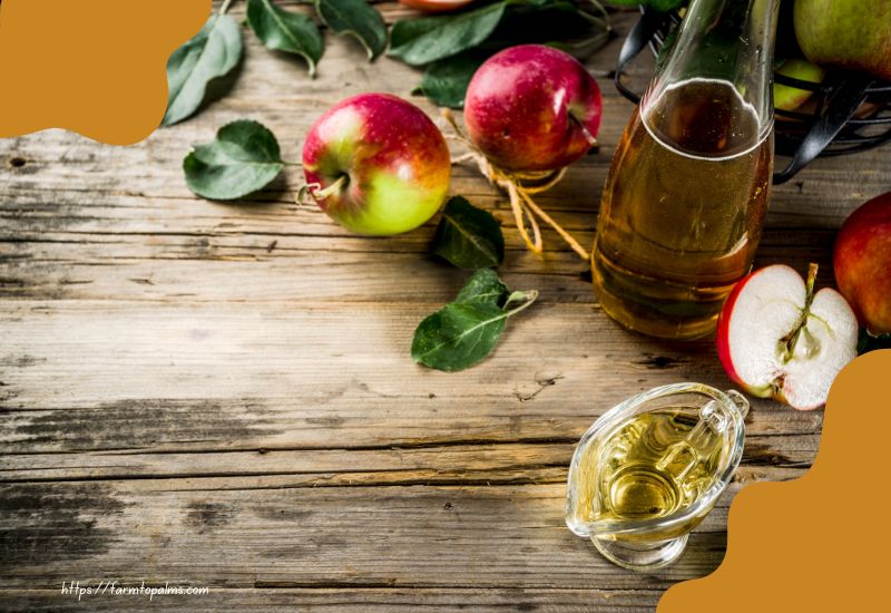 Potential Health Benefits Of Apple Cider Vinegar (acv)