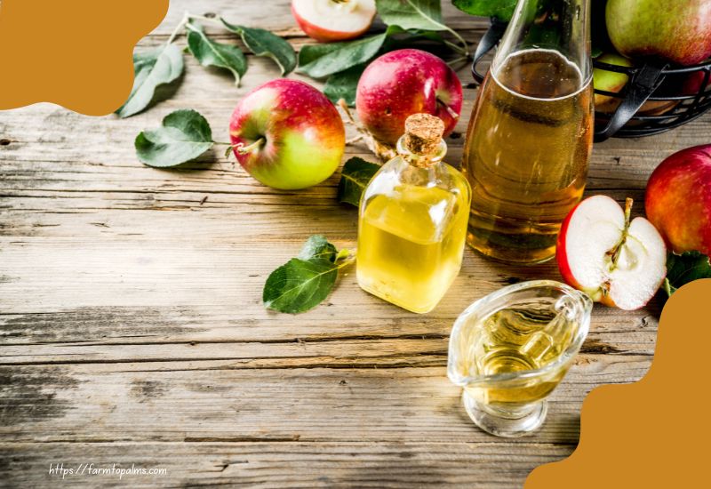 The Best Time To Have Apple Cider Vinegar