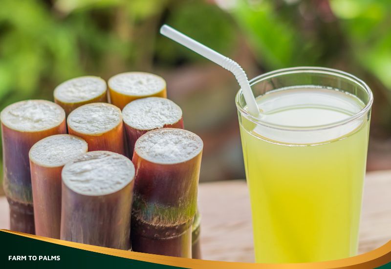 Weight Loss Benefits Of Sugarcane Juice