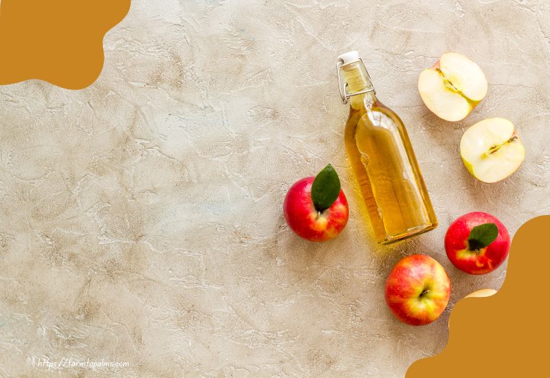 What Are The Types Of Apple Cider Vinegar