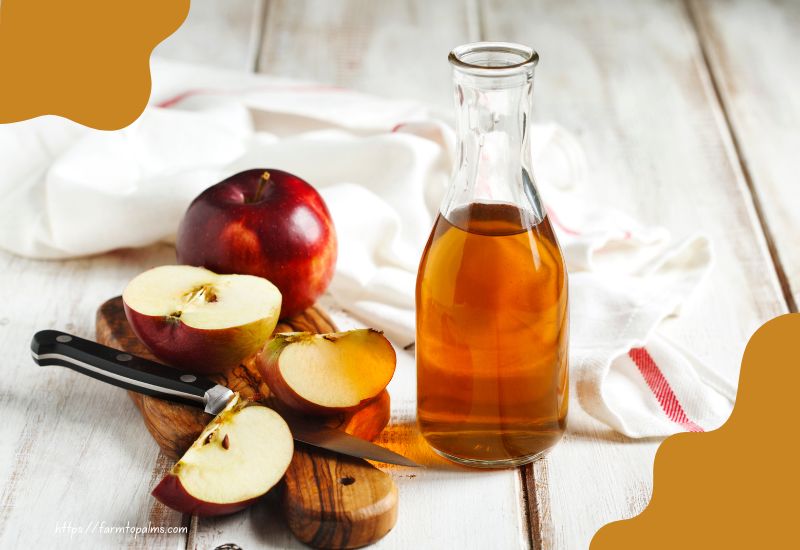 What Is The Best Way To Use Apple Cider Vinegar