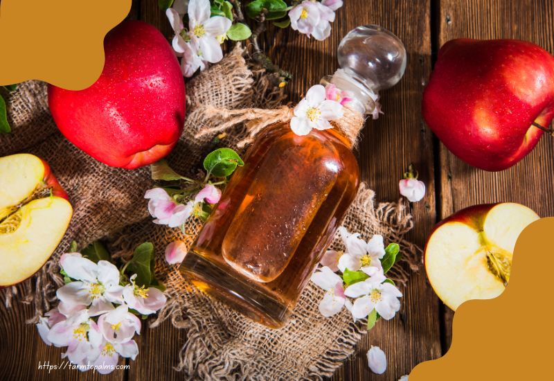 Why Drink Apple Cider Vinegar At Night