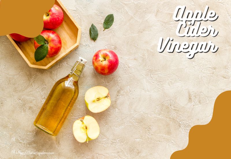 Why You Need To Drink Apple Cider Vinegar Every Night Before Bed