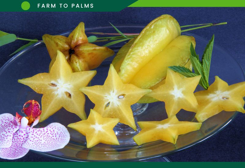What Is Star Fruit